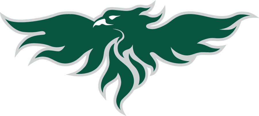 Wisconsin-Green Bay Phoenix 2022-Pres Secondary Logo v2 diy DTF decal sticker